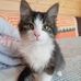 Max Katz - Facebook