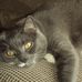 Max Katz - Facebook