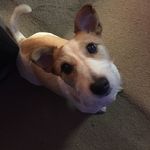 Max Kearney - @max__doggy - Instagram
