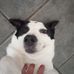 Max Keller - Facebook
