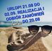 Max Keller - Facebook