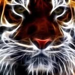 Max Keyes - Facebook
