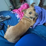 Max Keyes - Facebook