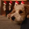 Max - @max.kieferswims - TikTok