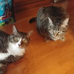 Max and Kippy - @maxandkippy - Instagram