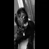 max kirkwood  - @max__kirk - TikTok