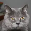 maxkirschner920 - @maxkirschner920 - TikTok