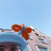 Max Knoblauch - Facebook