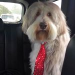 Max Krauss - @kraussmaxwell - Instagram
