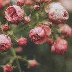 @max_kravitz_ - Instagram