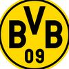 BVB Borussia Dortmund fan 🥇🏆 - @maxkreuzer5 - TikTok