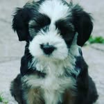 Max Kron - @kron.max - Instagram