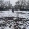 Max Krueger - @maxkrueger2 - TikTok