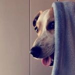 Max Kruger - @max_kruger09 - Instagram