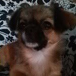 @max_kugler_2002 - Instagram