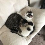 Max and Lacey - @laceyandmax - Instagram