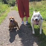 🐶Max and Lacey🐶 - @maxlacey11 - Instagram