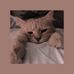 Max Lake - Facebook