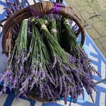 Max Lake Farm - @michiganlavender - Instagram