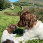 Max Out In The Lake District - @maxoutinthelakedistrict_ - Instagram