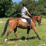 Maxwell Lake ™ - @_max_lake_eventing_ - Instagram