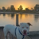 Max Lambert - @maxlambert667 - Instagram