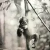 Max Lanier - @maxlanier_0 - TikTok