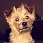 Max - @max_lanier_ - Instagram