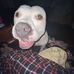 Max Leach - Facebook