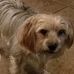 Max Leach - Facebook