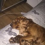 Max Leach - @max072018 - Instagram