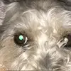 MaxLeo - @maxleo763 - TikTok