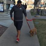 Max Lerner - @maxwalksdogs - Instagram