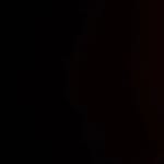 Max Lindeman - @maxlindeman.cookie - Instagram