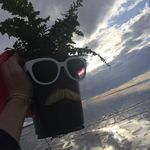 Max Lloyd - @151_lloyd - Instagram