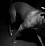 Max Logan - @maxjpeg2000 - Instagram