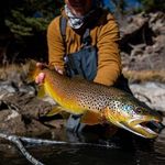 Max logan - @max_logan_flyfishing - Instagram