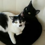 @max.lozano - Instagram