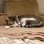 @max_lozano2020 - Instagram