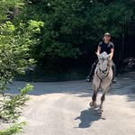 Max Lozano🐻 - @max_lozano12 - Instagram