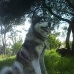 Max Lozano - @max.lozano.507464 - Instagram