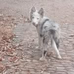 max lozano Bravo - @maxlozanobravo - Instagram