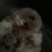 Max Ludy - Facebook