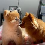 Max & Luna - @maxmeetsluna - Instagram