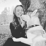 🐾Max & Luna - @max.luna.lovelyhuskies - Instagram