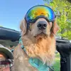 Max & Luna - @max.luna06 - TikTok