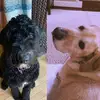 max and luna 🤍 - @max._.luna - TikTok