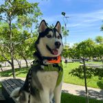 Max Luna - @max.luna2020 - Instagram