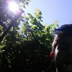 Max Lundquist - @max_lunquist - Instagram