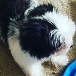 Max Lytle - @lytlemax - Instagram